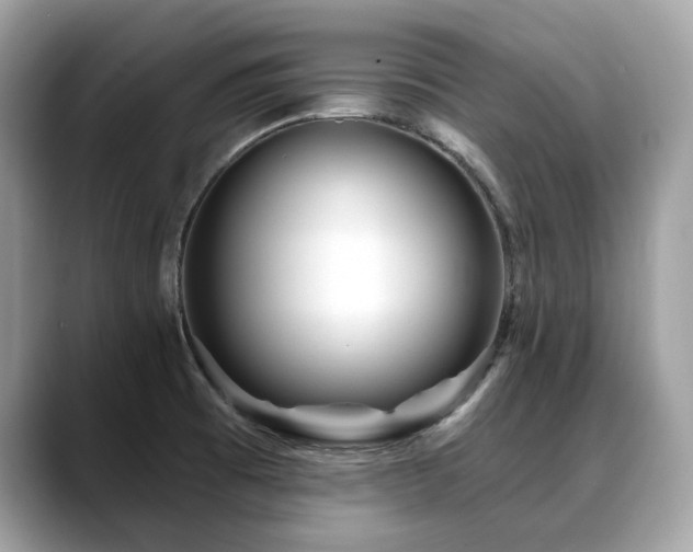 X0000088731473200705311420