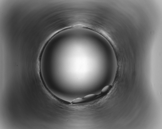X0000088731476200705311420