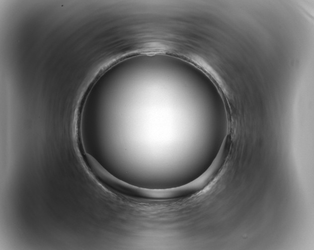 X0000088731477200705311420