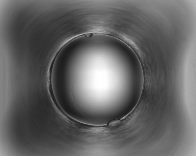 X0000088731479200705311420