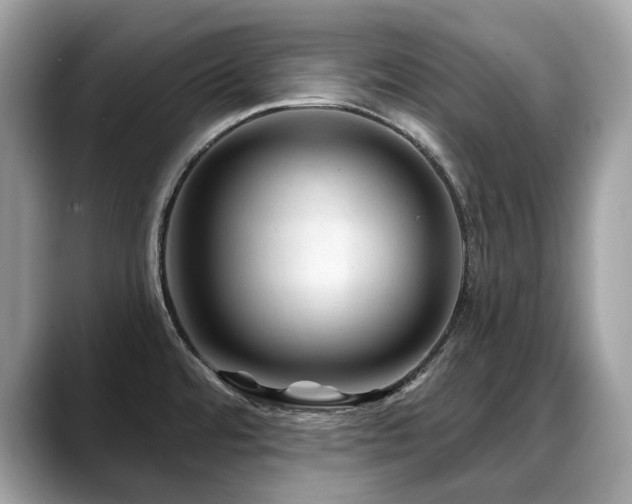X0000088731480200705311420