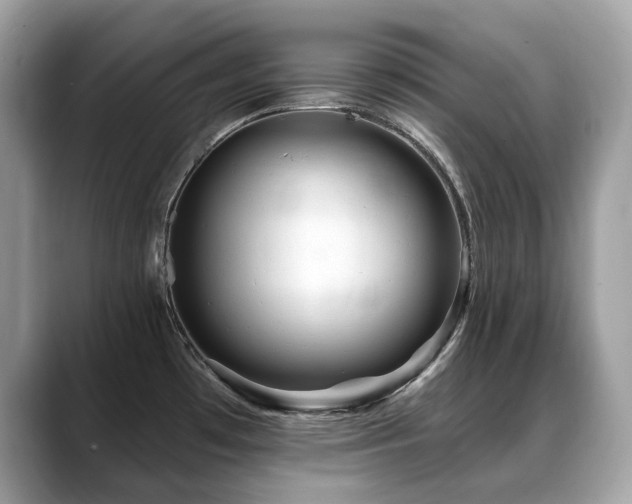 X0000088731481200705311420