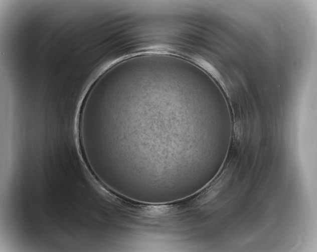 X0000088731482200705311420