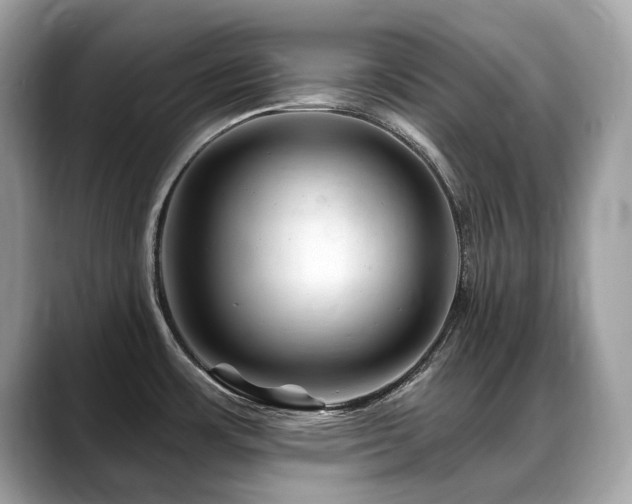 X0000088731483200705311420