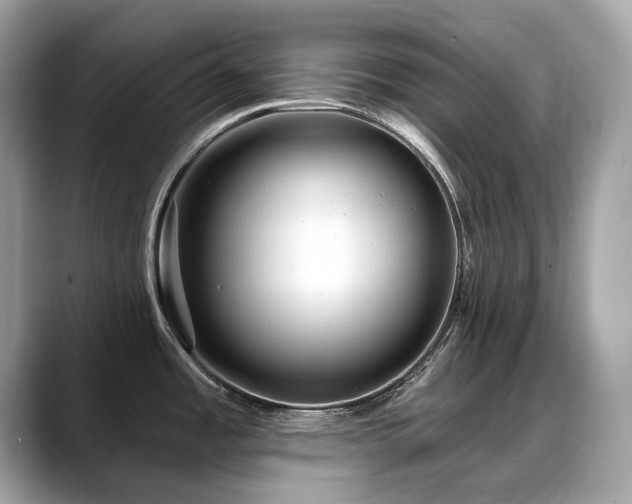 X0000088731485200705311420