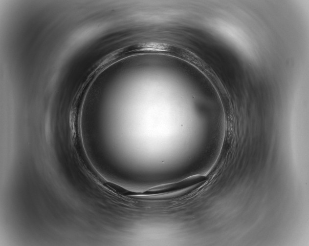 X0000088731487200705311420