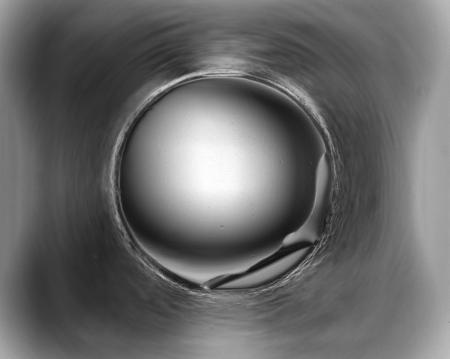 X0000088731488200705311420