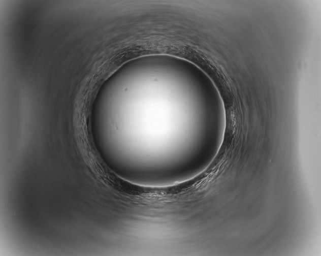 X0000088731489200705311419