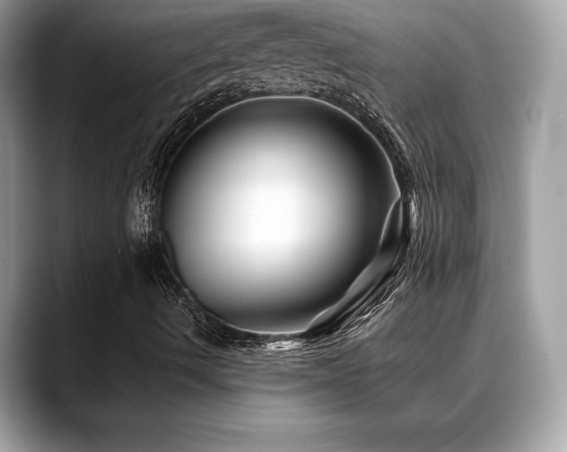 X0000088731490200705311419