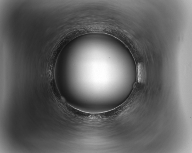 X0000088731491200705311419