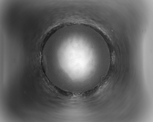 X0000088731494200705311419