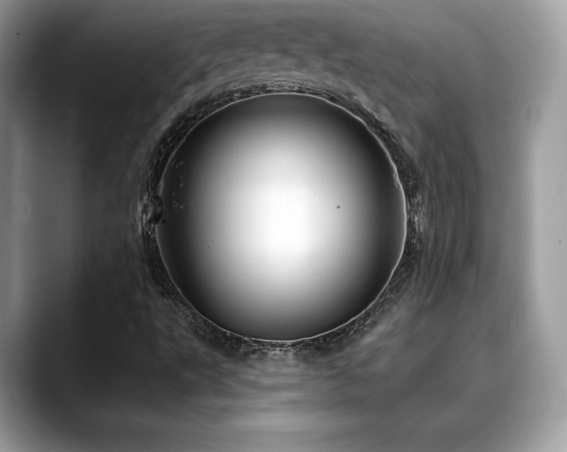 X0000088731495200705311419