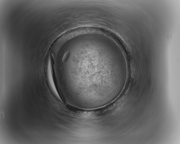 X0000088731497200705311419