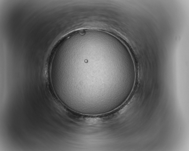 X0000088731498200705311419