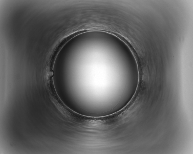 X0000088731499200705311419