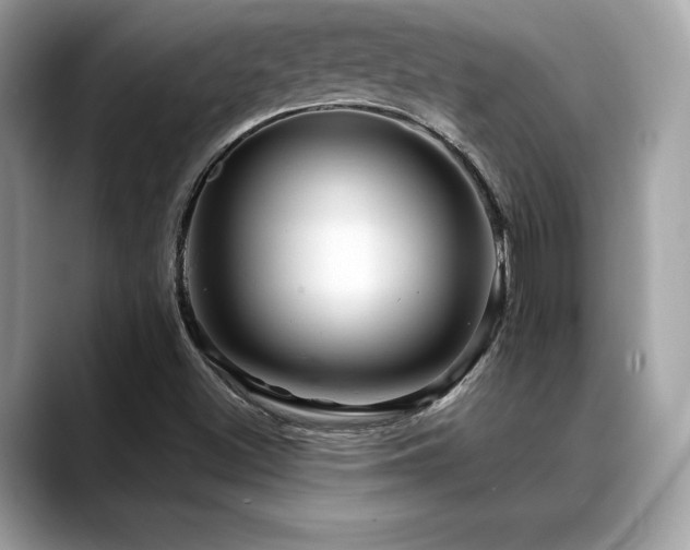 X0000088731500200705311419