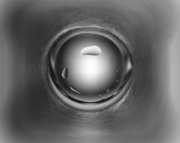 X0000088731502200705311419