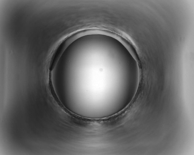 X0000088731504200705311419