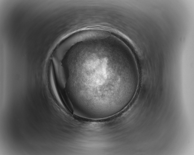 X0000088731506200705311419