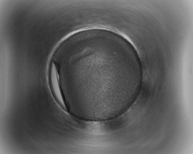 X0000088731508200705311419