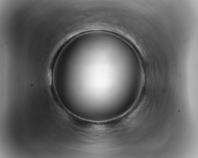 X0000088731509200705311419