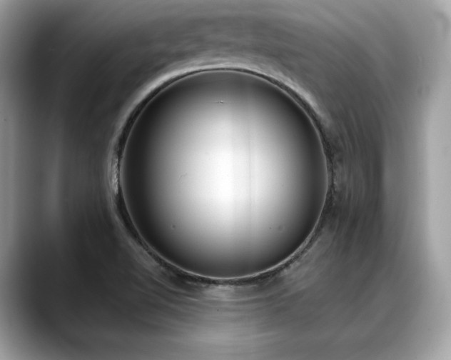 X0000088731510200705311419