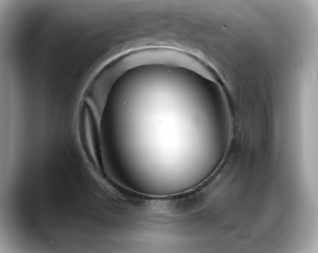 X0000088731511200705311419