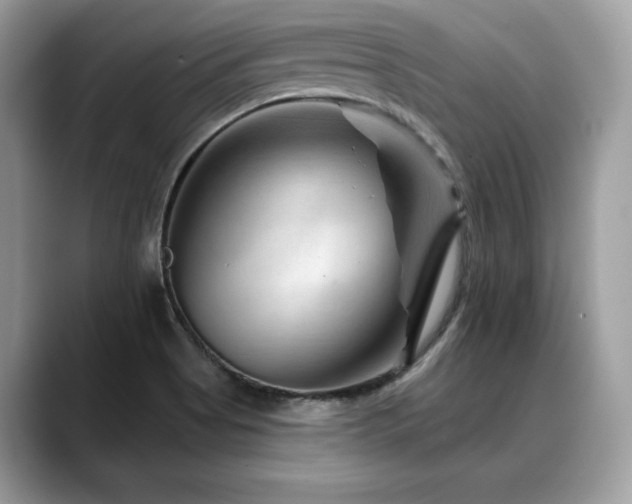 X0000088731513200705311419