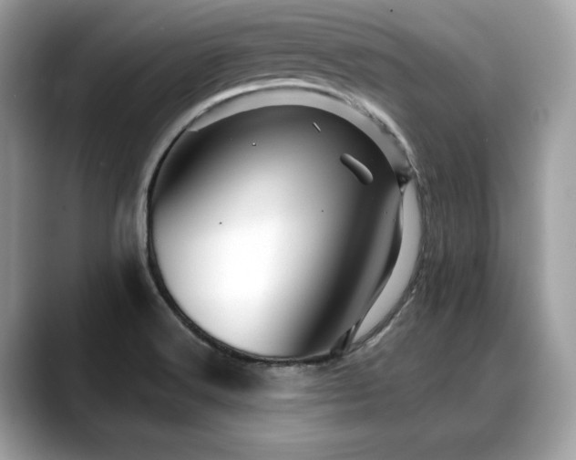 X0000088731516200705311419