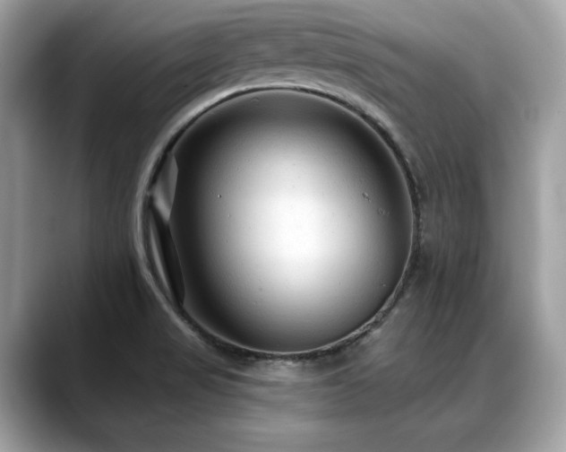 X0000088731517200705311419