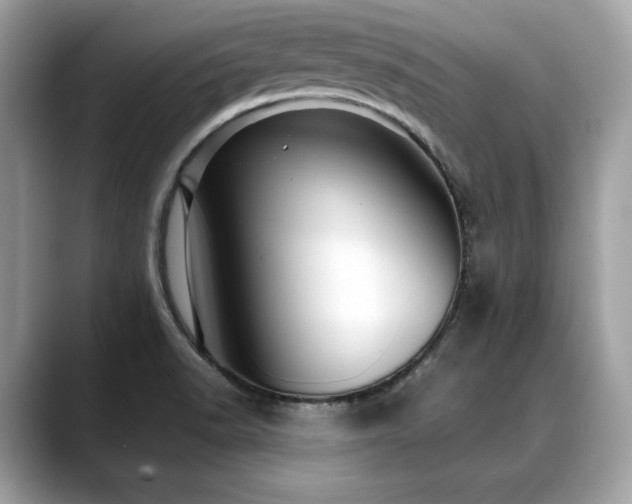 X0000088731518200705311419
