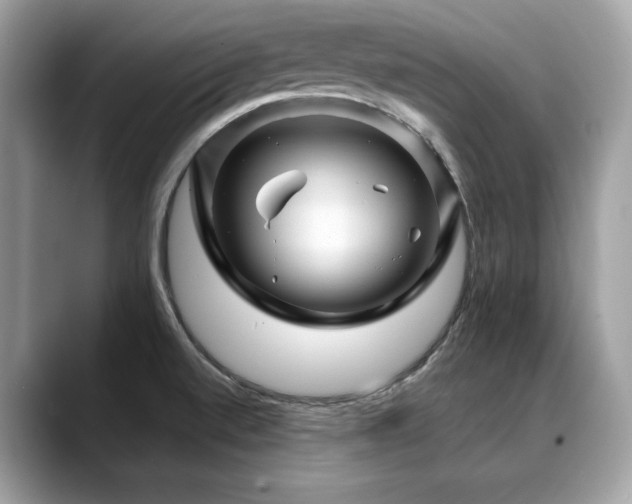 X0000088731520200705311419