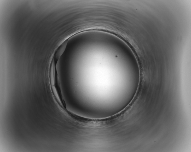 X0000088731521200705311419