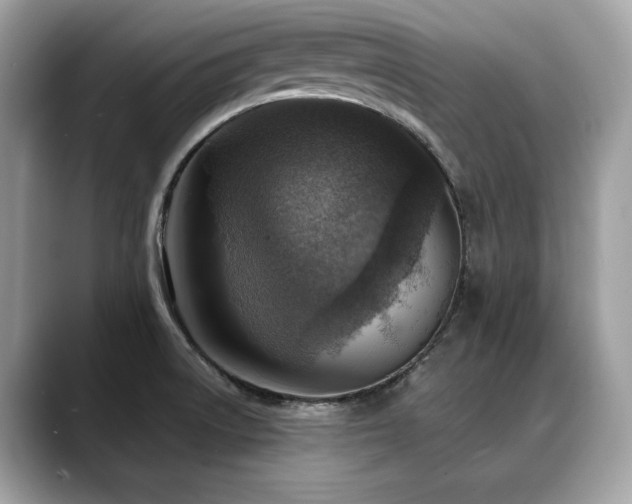 X0000088731522200705311419
