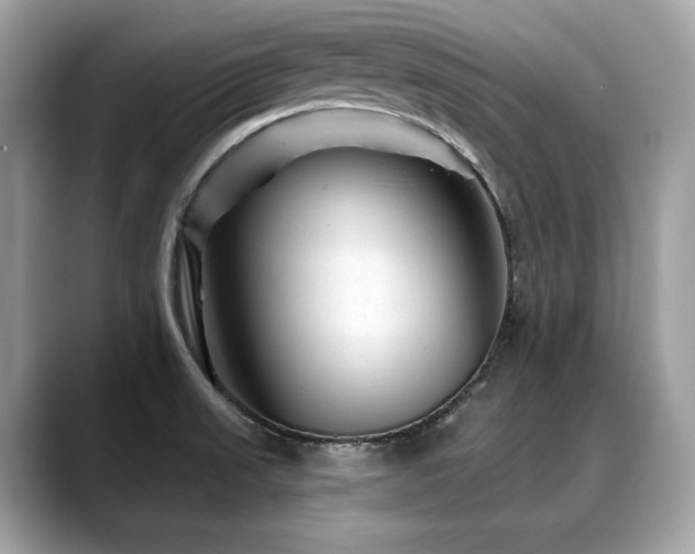 X0000088731523200705311419