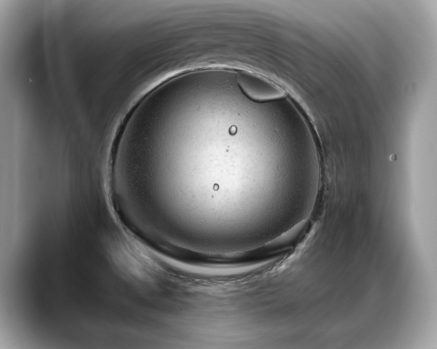 X0000088731525200705311419