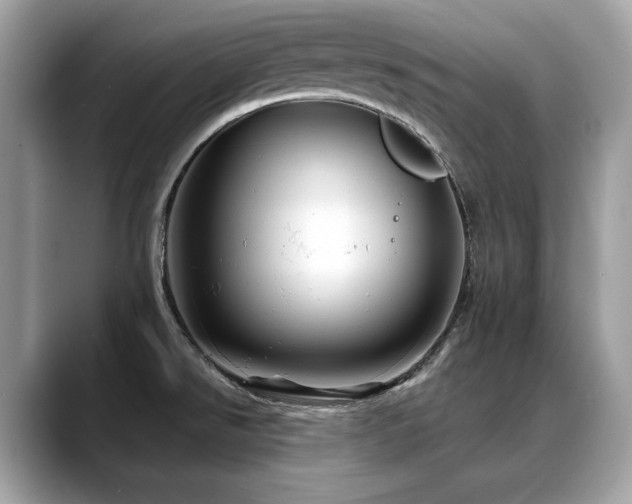 X0000088731526200705311419