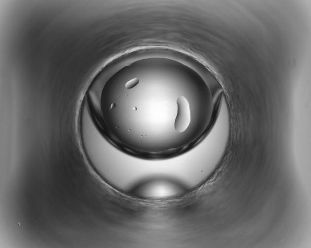 X0000088731527200705311419