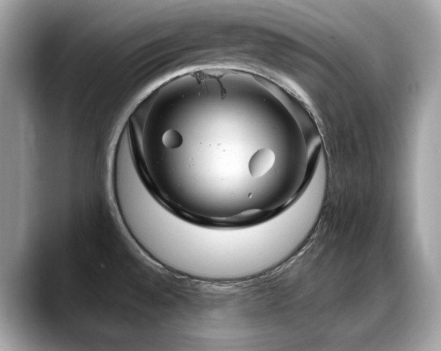 X0000088731528200705311419