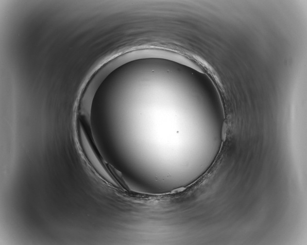 X0000088731530200705311419