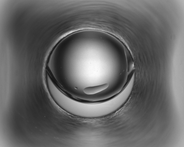 X0000088731531200705311419