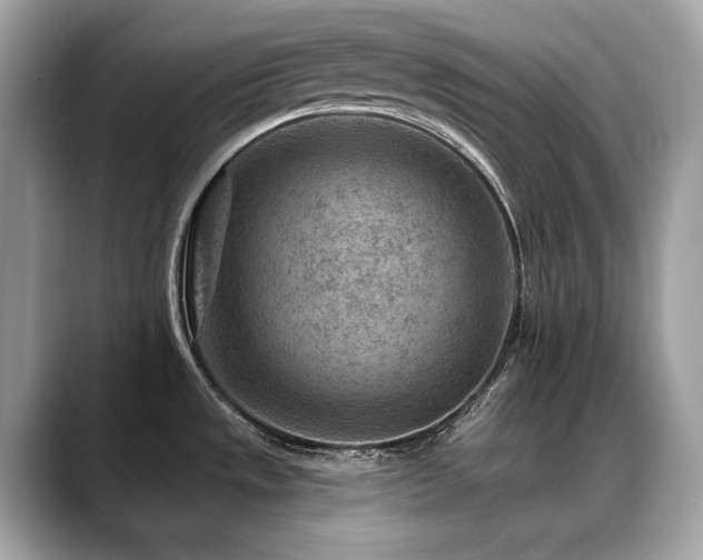 X0000088731533200705311419