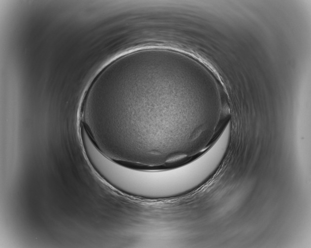 X0000088731535200705311419