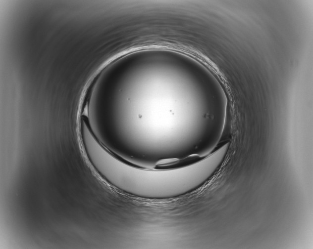 X0000088731536200705311419