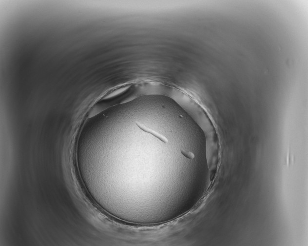 X0000088730001200706071649