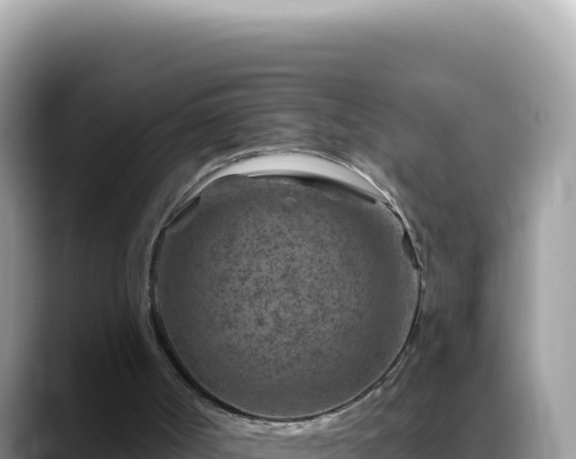 X0000088730002200706071649
