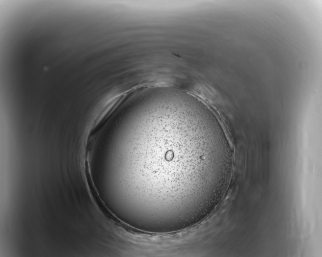 X0000088730003200706071649