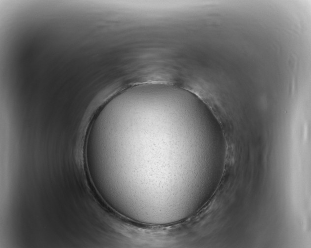 X0000088730004200706071649