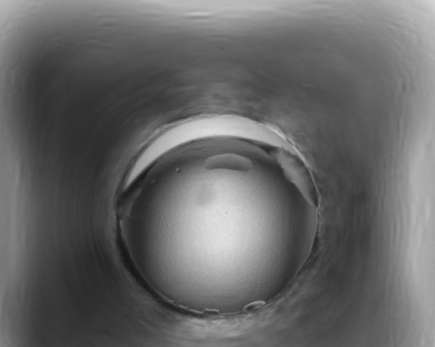 X0000088730005200706071649