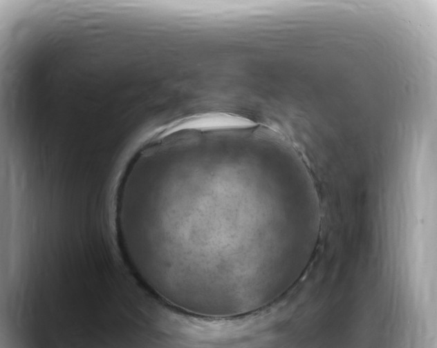 X0000088730006200706071649